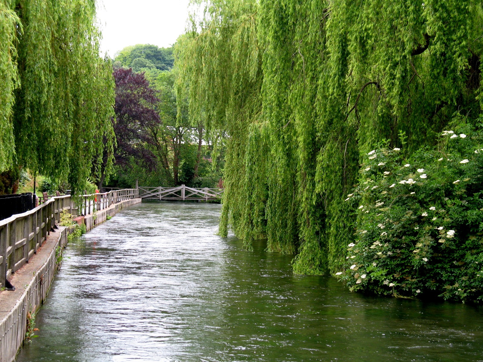 River Itchen, Winchester